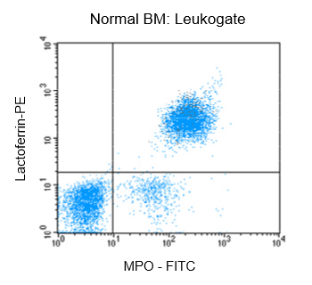 Figure 1: Flow cytrometric analysis of normal bone marrow (BM) after fixation and pemeabilization using GAS-002, followed by immunostaining for lactoferrin and MPO-C2.